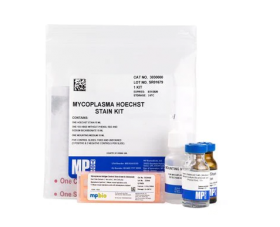 MP Biomedicals Mycoplasma Hoechst Stain Kit 11495065 [Pack of 1]