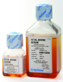 Cytiva HyClone Fetal Bovine Serum (U.S.), Standard 11511851 [Pack of 1]