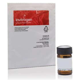 Invitrogen Staphylococcus aureus (Wood strain without protein A) BioParticles, unlabeled 11520676 [Pack of 1]