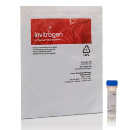 Invitrogen Epidermal Growth Factor, Fluorescein Conjugate (Fluorescein EGF) 11528956 [Pack of 1]