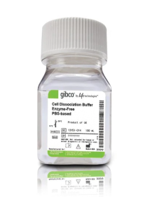 Gibco™ Cell Dissociation Buffer, enzyme-free, PBS 11530456 [Pack of 1]