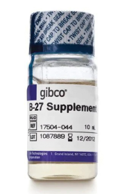 Gibco B-27 Supplement (50X), serum free 11530536 [Pack of 1]