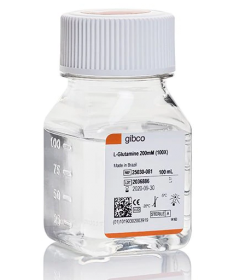 Gibco L-Glutamine (200 mM) 11539876 [Pack of 1]