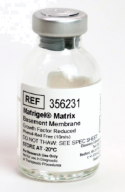 Corning Matrigel GFR Membrane Matrix 11553620 [Pack of 1]
