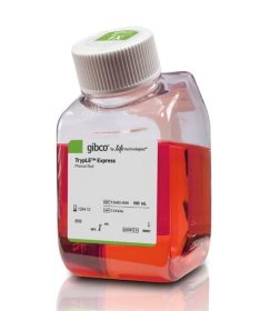 Gibco TrypLE Express Enzyme (1X), phenol red 11558856 [Pack of 20]