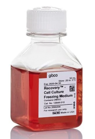 Gibco Recovery Cell Culture Freezing Medium 11560446 [Pack of 1]