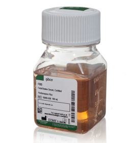 Gibco Fetal Bovine Serum, certified, United States 11560506 [Pack of 1]