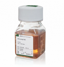 Gibco Fetal Bovine Serum, ultra-low IgG, US Origin 11560526 [Pack of 1]