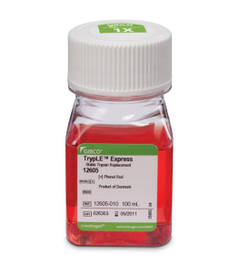 Gibco TrypLE Express Enzyme (1X), phenol red 11568856 [Pack of 20]