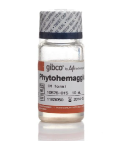 Gibco Phytohemagglutinin, M form (PHA-M) 11570356 [Pack of 1]