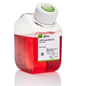 Gibco Trypsin-EDTA (0.05%), phenol red 11570626 [Pack of 1]