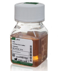 Gibco Fetal Bovine Serum, qualified, United States 11570636 [Pack of 1]