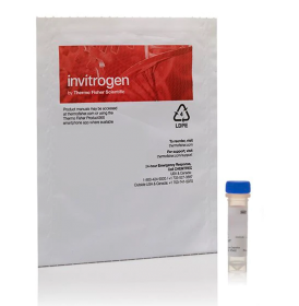 Invitrogen Transferrin From Human Serum, Fluorescein Conjugate 11570766 [Pack of 1]