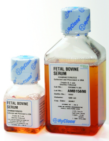 Cytiva HyClone Fetal Bovine Serum (U.S.), Charcoal/Dextran Treated 11571821 [Pack of 1]