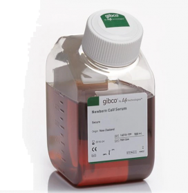 Gibco Newborn Calf Serum, New Zealand origin 11580506 [Pack of 1]