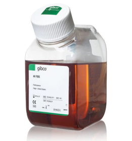 Gibco Fetal Bovine Serum, qualified, heat inactivated, United States 11580516 [Pack of ]