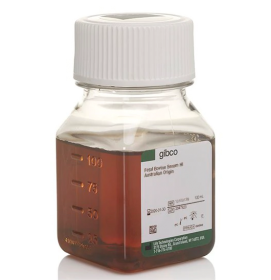 Gibco Fetal Bovine Serum, qualified, heat inactivated, Australia 11583387 [Pack of 1]