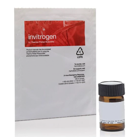 Invitrogen Transferrin From Human Serum, Alexa Fluor 555 Conjugate 11590776 [Pack of 1]