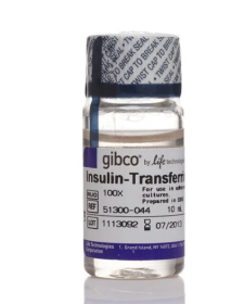 Gibco Insulin-Transferrin-Selenium-Sodium Pyruvate (ITS-A) (100X) 12067589 [Pack of 1]