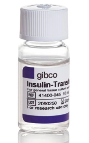 Gibco Insulin-Transferrin-Selenium (ITS -G) (100X) 12097549 [Pack of 1]