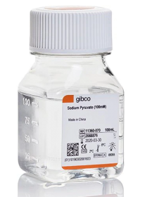 Gibco Sodium Pyruvate (100 mM) 12539059 [Pack of 1]