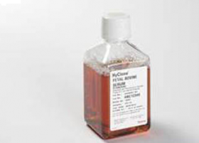 Cytiva HyClone Fetal Bovine Serum (U.S.), Charcoal/Dextran Treated 12634217 [Pack of 1]