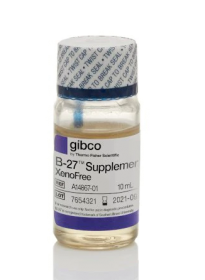 Gibco B-27 Supplement, XenoFree 13483269 [Pack of 1]