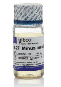 Gibco B-27 Supplement, minus insulin 15285074 [Pack of 1]