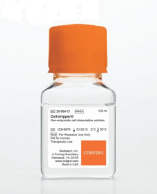 Corning CellStripper Dissociation Reagent 15313661 [Pack of 1]
