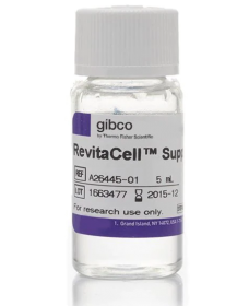Gibco RevitaCell Supplement (100X) 15317447 [Pack of 1] 