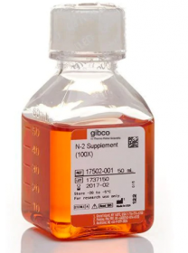 Gibco N-2 Supplement (100X) 15410294 [Pack of 1]