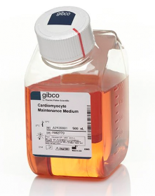 Gibco PSC Cardiomyocyte Maintenance Medium 15492064 [Pack of 1]