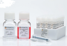 STEMCELL Technologies Starter Kit for MethoCult H4534 Classic Without EPO 15509535 [Pack of 1]