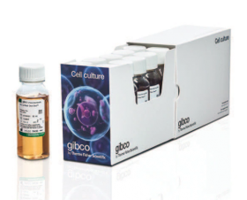 Gibco Fetal Bovine Serum, qualified, One Shot format 15517589 [pack of 10]