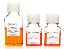 STEMCELL Technologies STEMdiff Trilineage Differentiation Kit 15677478 [Pack of 1]