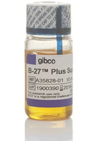 Gibco B-27 Plus Supplement (50X) 15717988 [Pack of 1]