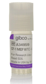 Gibco CF1 Mouse Embryonic Fibroblasts, MitC-treated 15737417 [Pack of 1]