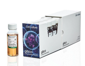 Gibco Fetal Bovine Serum, qualified, heat inactivated, United States 15828947 [Pack of ]