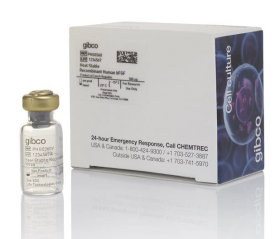 Gibco Heat Stable Recombinant Human bFGF 15930547 [Pack of 1]