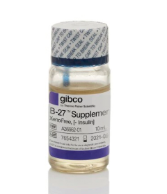 Gibco B-27 Supplement, XenoFree, minus insulin 15944204 [Pack of 1]