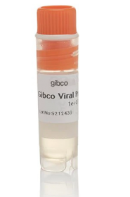Gibco Viral Production Cells 15967871 [Pack of 1]