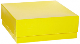 Heathrow Scientific Cardboard Cryogenic Vial Box, 50 mm 16360756 [Pack of 12]