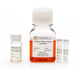 STEMCELL Technologies STEMdiff Definitive Endoderm Kit (TeSR™-E8™ Optimized) 16380618 [Pack of 1]