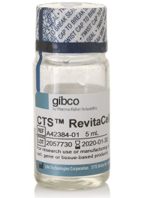 Gibco CTS RevitaCell Supplement (100X) 16381984 [Pack of 1]