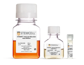 STEMCELL Technologies STEMdiff Astrocyte Maturation Kit 16649097 [Pack of 1]