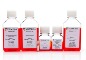 STEMCELL Technologies ClonaCell-HY Hybridoma Kit 17118101 [Pack of 1]