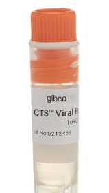 Gibco CTS Viral Production Cells 17118715 [Pack of 1]