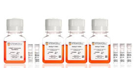 STEMCELL Technologies STEMdiff Monocyte Kit 17158261 [Pack of 1]