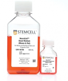 STEMCELL Technologies NeuroCult Differentiation Kit (Mouse & Rat) 17168281 [Pack of 1]