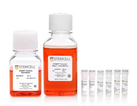STEMCELL Technologies STEMdiff Pancreatic Progenitor Kit 17178251 [Pack of 1]